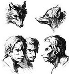 Lobishomes y loberos. lobishome_transformacion