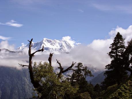 Un Valle en Himalaya que se llama Johar