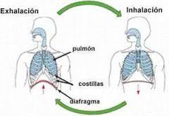 RESPIRAR2 Ejercicio de respiración completa para ganar salud