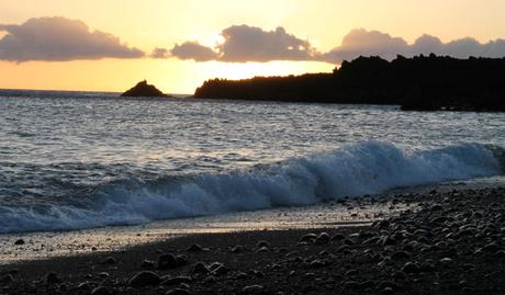 playa-echentive