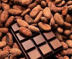 cacao3 Chocolate y cacao para el vigor físico y mucho más…