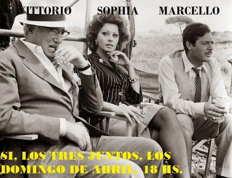 Ayer, hoy y mañana; Sophia Loren eterna... Ayer, hoy y mañana; Sophia Loren eterna...