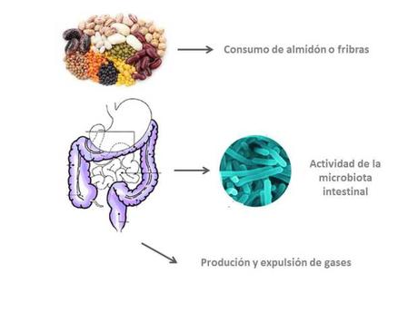 3 soluciones sencillas para los gases intestinales
