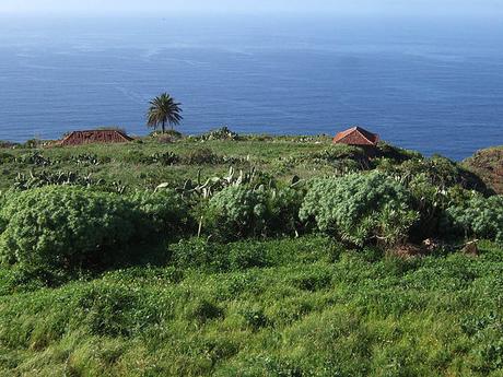 La Palma, la Isla Bonita de las Canarias