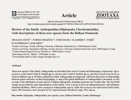 Nuevos diplópodos descubiertos en Croacia y en Montenegro Nuevos diplópodos descubiertos en Croacia y en Montenegro
