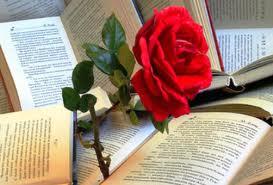SANT JORDI - SAN JORGE SANT JORDI - SAN JORGE