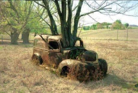 Cuento del mes 1: El oxígeno que producen las plantas devora el metal de los autos auto