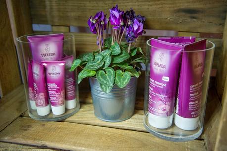 Onagra, la nueva línea corporal revitalizante de Weleda weleda, onagra, revitalizante