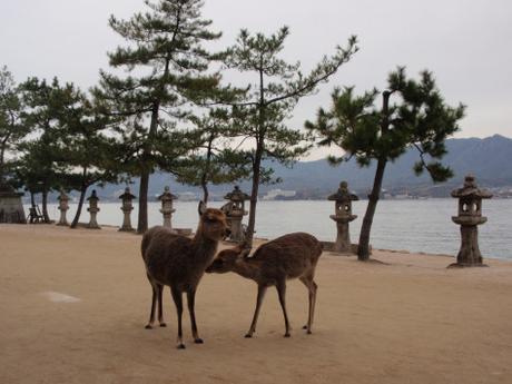 miyajima