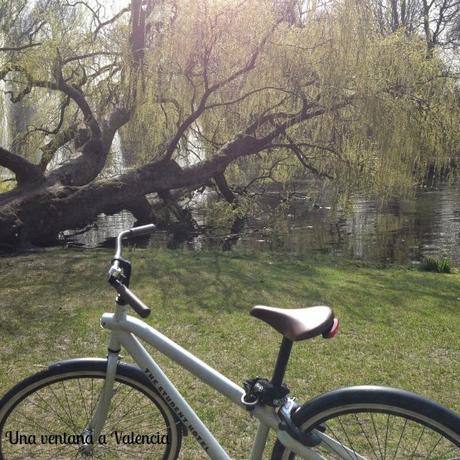 Una bici, 2 flores y la mayor locura de tu vida (2º parte) Una bici, 2 flores y la mayor locura de tu vida (2º parte)