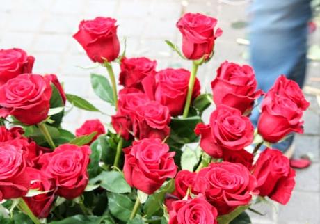 Sant Jordi 2015 en imágenes Sant Jordi 2015 en imágenes