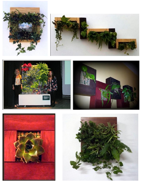 Curso on-line de jardines verticales, 4ª edición trabajos_alumnos_1