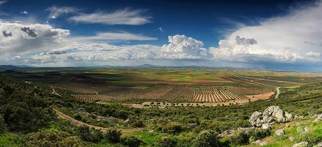 La Mancha. Autor, Gregorio Pérez Saavedra