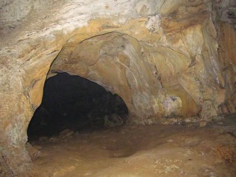 Nueva especie de escorpión en una cueva de Vietnam