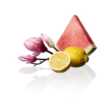 Vive Cada Día Una Aventura con Ralph Fresh Vive Cada Día Una Aventura con Ralph Fresh