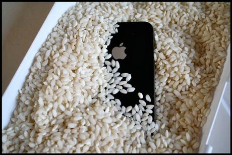 Smartphone en el arroz