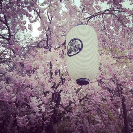 10 cosas nuevas que he aprendido en mi último viaje a Japón 11111509_621152561348482_396551204_n