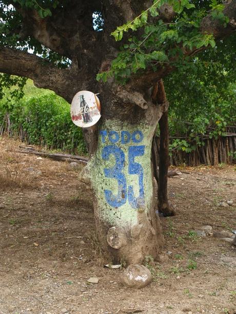 Propagandas electorales que no se quitan y que dañan nuestro patrimonio natural Propagandas electorales que no se quitan y que dañan nuestro patrimonio natural