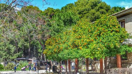 Parque Grande Zaragoza - Vuelve la primavera