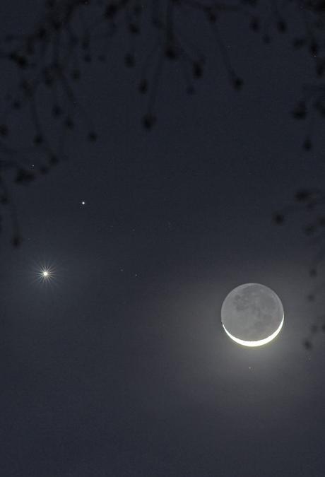 Amor y guerra a la luz de la Luna