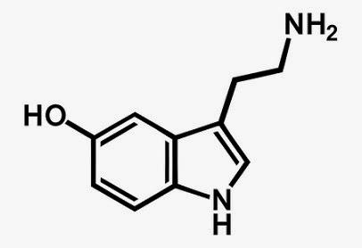 5-hydroxytryptamine 5-HT 5-hidroxitriptamina serotonin sérotonin