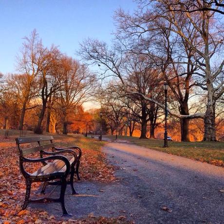 De retos e ilusiones De retos e ilusiones
