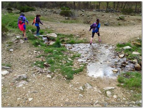 No solo caminar y correr, también saltar (CaCoSa)