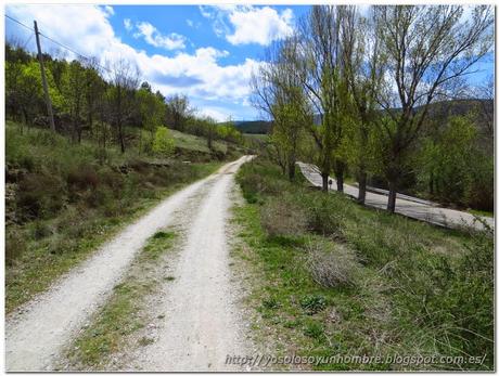 Camino paralelo a la carretera