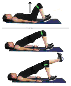 Glute bridge 2