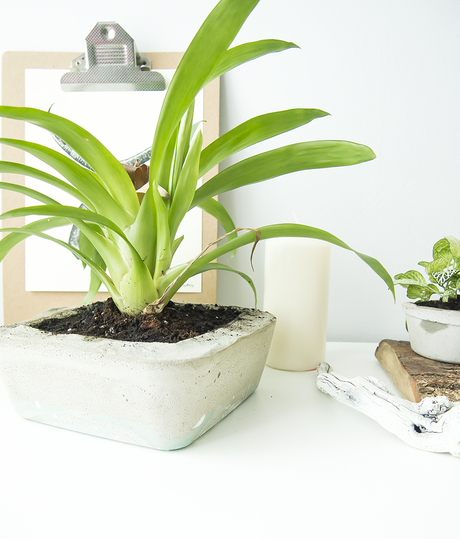 El Reto Pinterest, cemento Diy, cómo hacer macetas de cemento