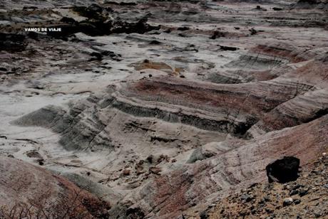 PARQUE PROVINCIAL ISCHIGUALASTO ( VALLE DE LA LUNA) San Juan. ARGENTINA. el balcon de valle pintado