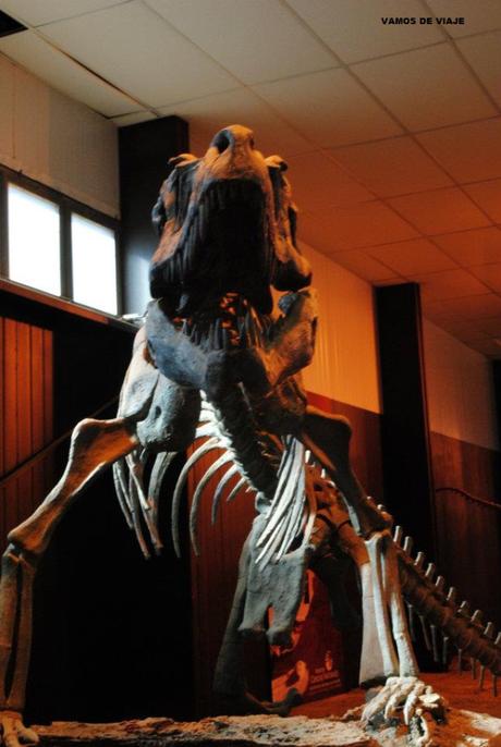 PARQUE PROVINCIAL ISCHIGUALASTO ( VALLE DE LA LUNA) San Juan. ARGENTINA. museo en el valle de la luna