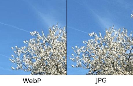 Comparacion Webp vs Jpg