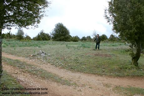 inicio camino rural de Espeja a Hontoria - frontera Soria Burgos