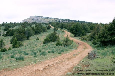 camino rural hacia el pico de navas parque natural canon del rio lobos