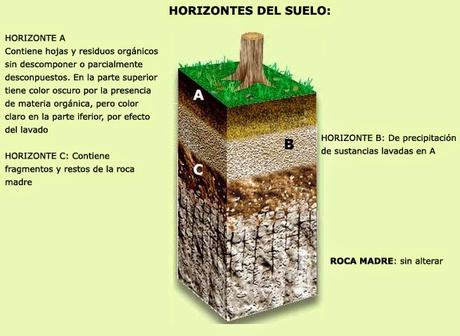 El jardín sostenible (III): decálogo del suelo.