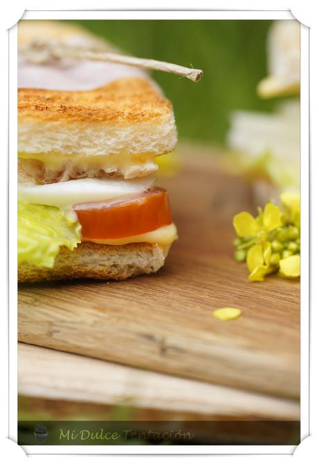 Mini Sandwiches Vegetales con Atún y Mayonesa de Calabaza