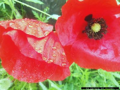 Altillo en un mini apartamento. Altillo en un mini apartamento.