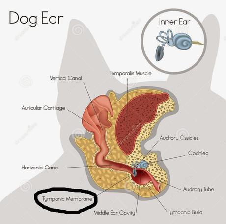 Cuidado con las espigas! Cuidado con las espigas!