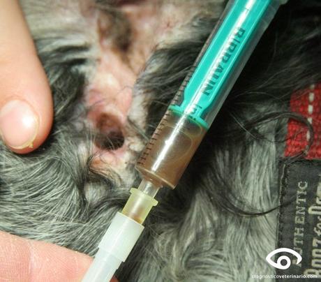 Cuidado con las espigas! Cuidado con las espigas!