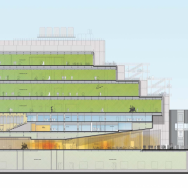 Musoe Whitney 4.png Musoe Whitney 4.png