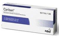 Segundo trimestre del segundo embarazo Segundo trimestre del segundo embarazo