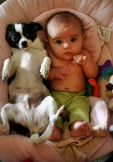 DE NOTICIAS VASELINA Y POSTUREO DE NOTICIAS VASELINA Y POSTUREO