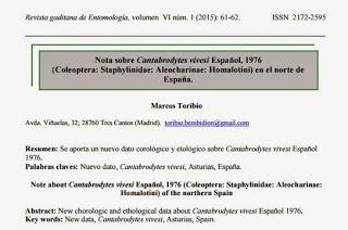 Nuevo hallazgo de Cantabrodytes vivesi en el norte de España Nuevo hallazgo de Cantabrodytes vivesi en el norte de España