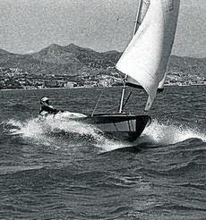 CALAMARITOS EN SALSA DE VINO BLANCO CALAMARITOS EN SALSA DE VINO BLANCO