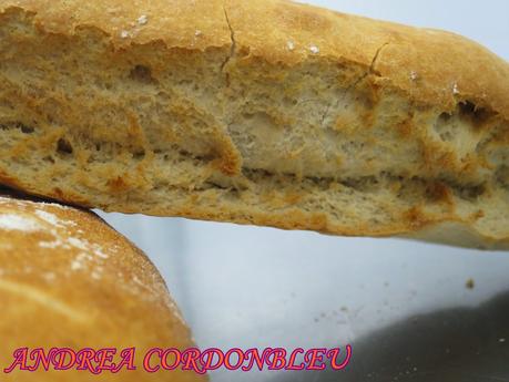 PAN RÚSTICO AROMÁTICO. XAVIER BARRIGA. PAN RÚSTICO AROMÁTICO. XAVIER BARRIGA.