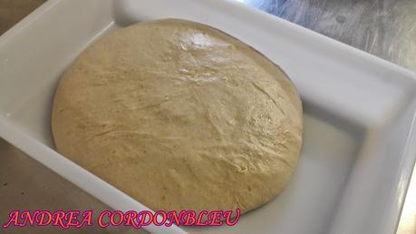 PAN RÚSTICO AROMÁTICO. XAVIER BARRIGA. PAN RÚSTICO AROMÁTICO. XAVIER BARRIGA.