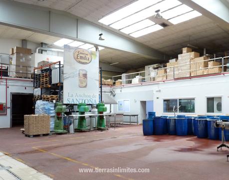 El sabor de una anchoa de Santoña. El interior de Conservas Emilia, en Santoña