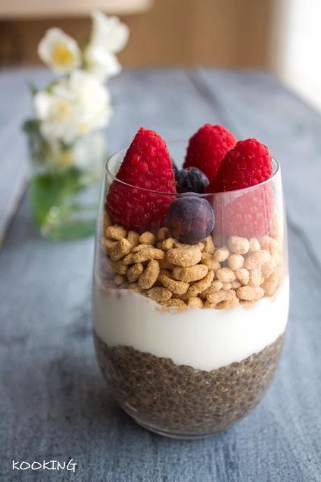 Pudin de Chia Pudin de Chia