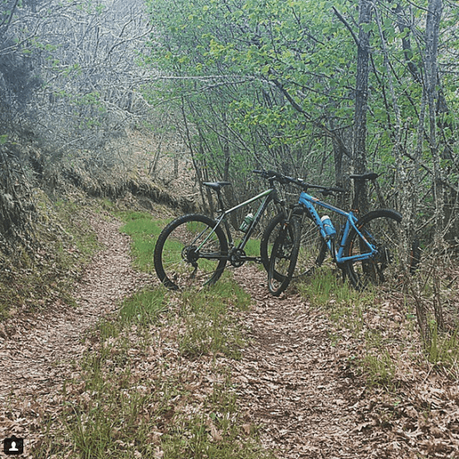 Fotos Campistas de la Semana. Parte 17. Foto ruta bosque